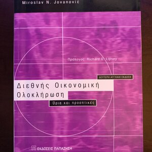 Διεθνής οικονομική ολοκλήρωση, Όρια και προοπτικές