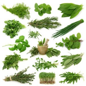 Fresh Herbs