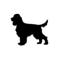 Medium Breeds (from 11kg to 25kg)