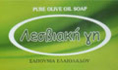 Lesviaki Gi