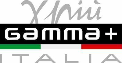 GammaPiu