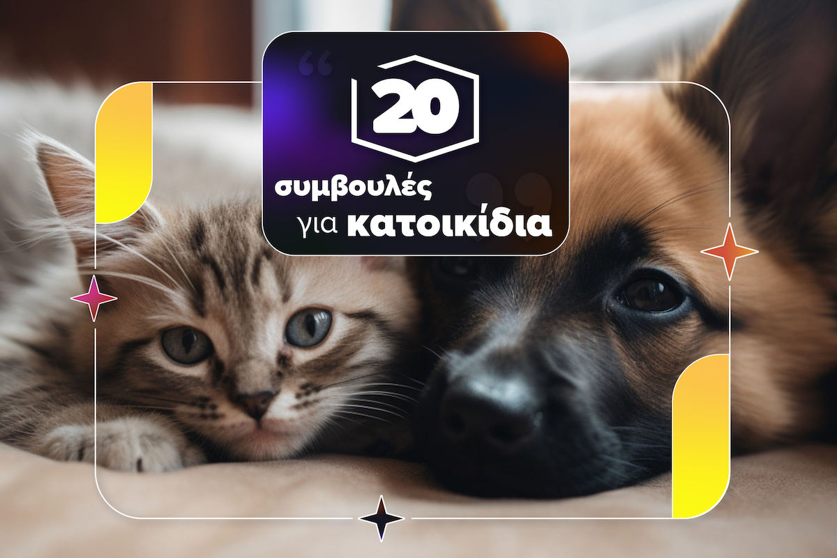 20 συμβουλές & απαραίτητα αξεσουάρ για κατοικίδια