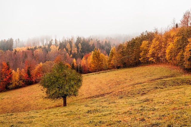 Must have items για το απόλυτο autumn day trip