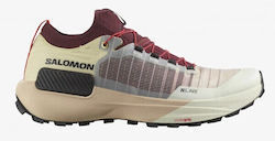 Salomon Genesis