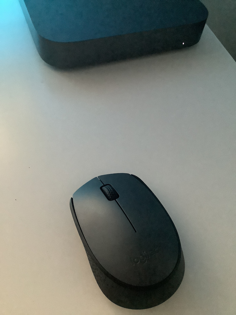 Logitech M170 Wireless Mini Mouse Gray