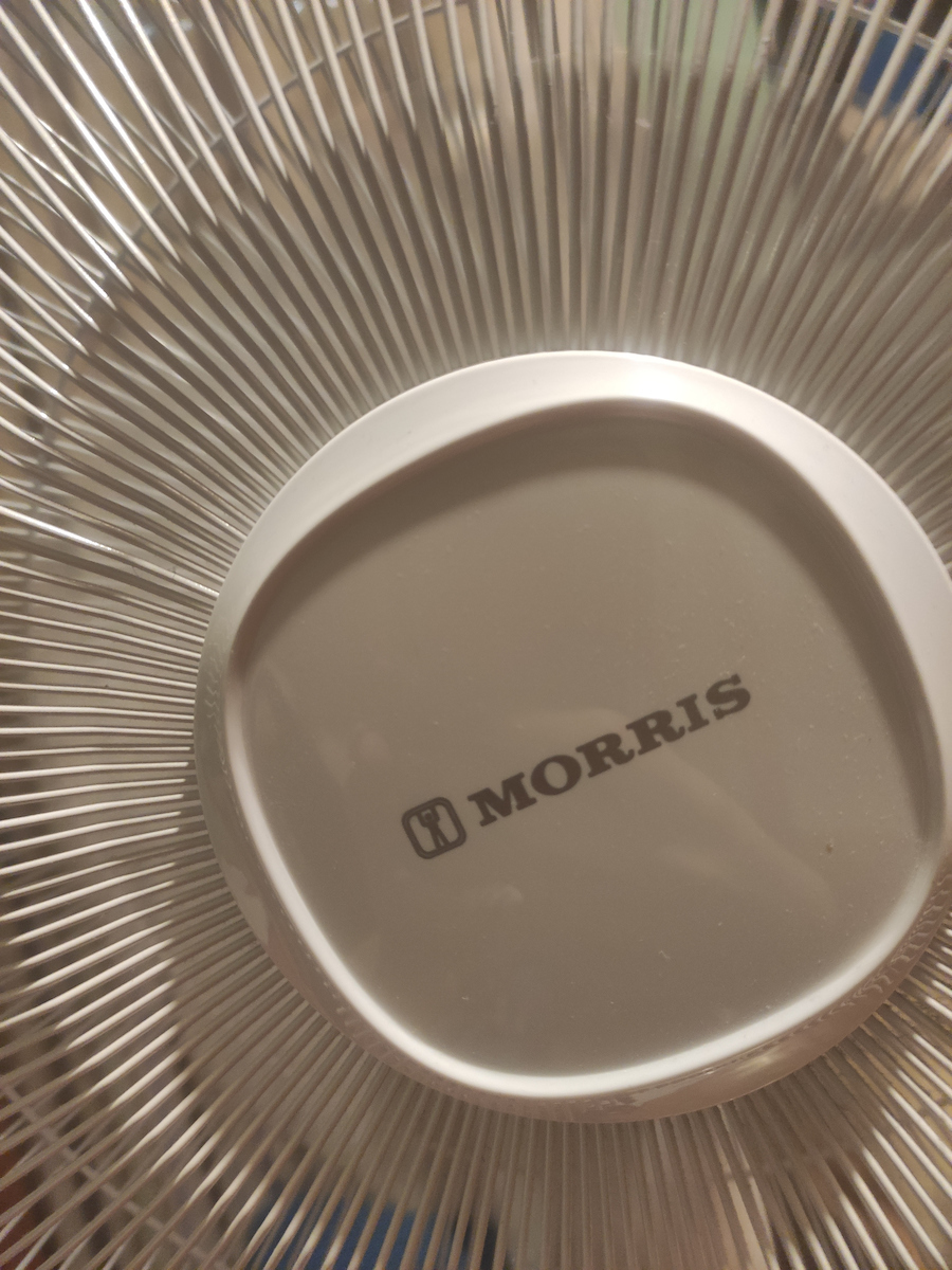 Morris Pedestal Fan 60W 40cm Diameter with Remote Control White