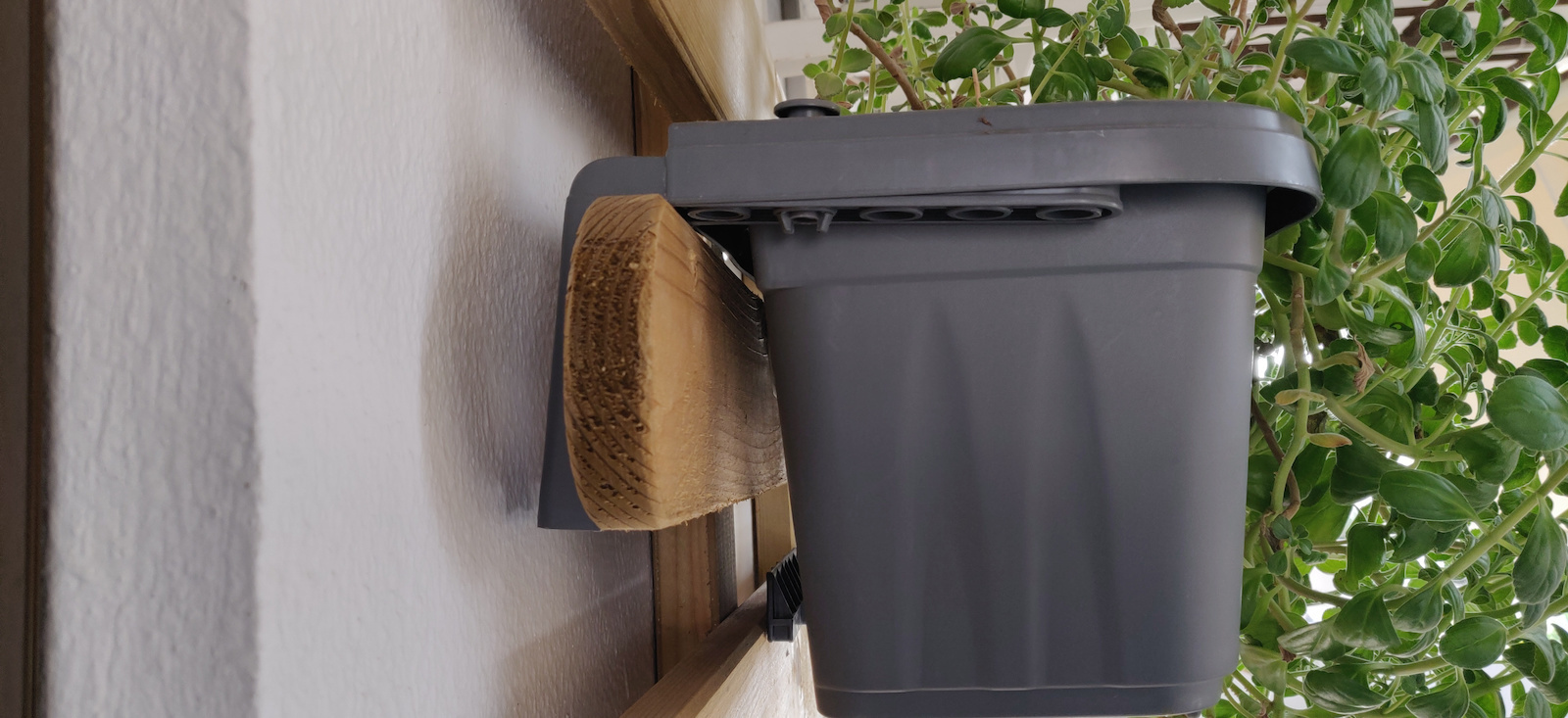 Plastic Grey Planter Box 50x20x18.5cm