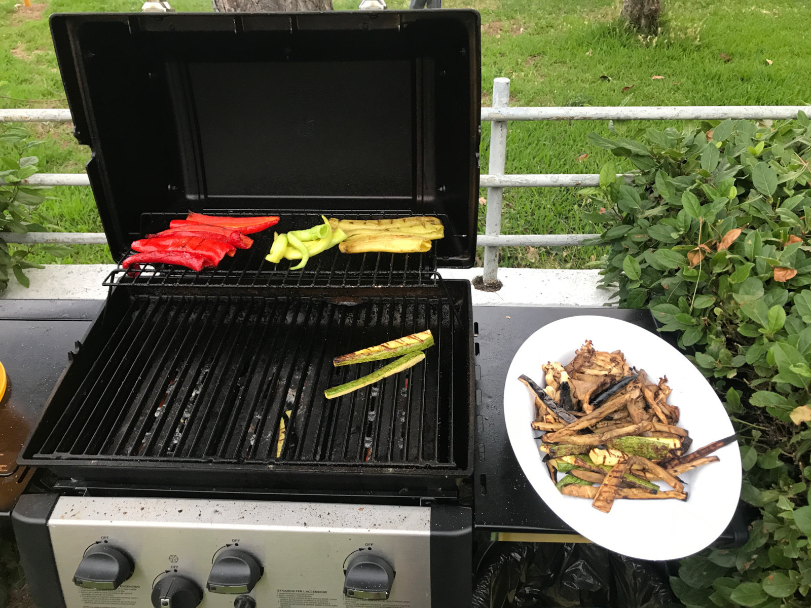 Broil King Gem 330 Ψησταριά Υγραερίου Μαντεμένιας Σχάρας 55x34εκ. με 3 Εστίες 6.9kW και Πλαϊνό Μάτι 2.7kW