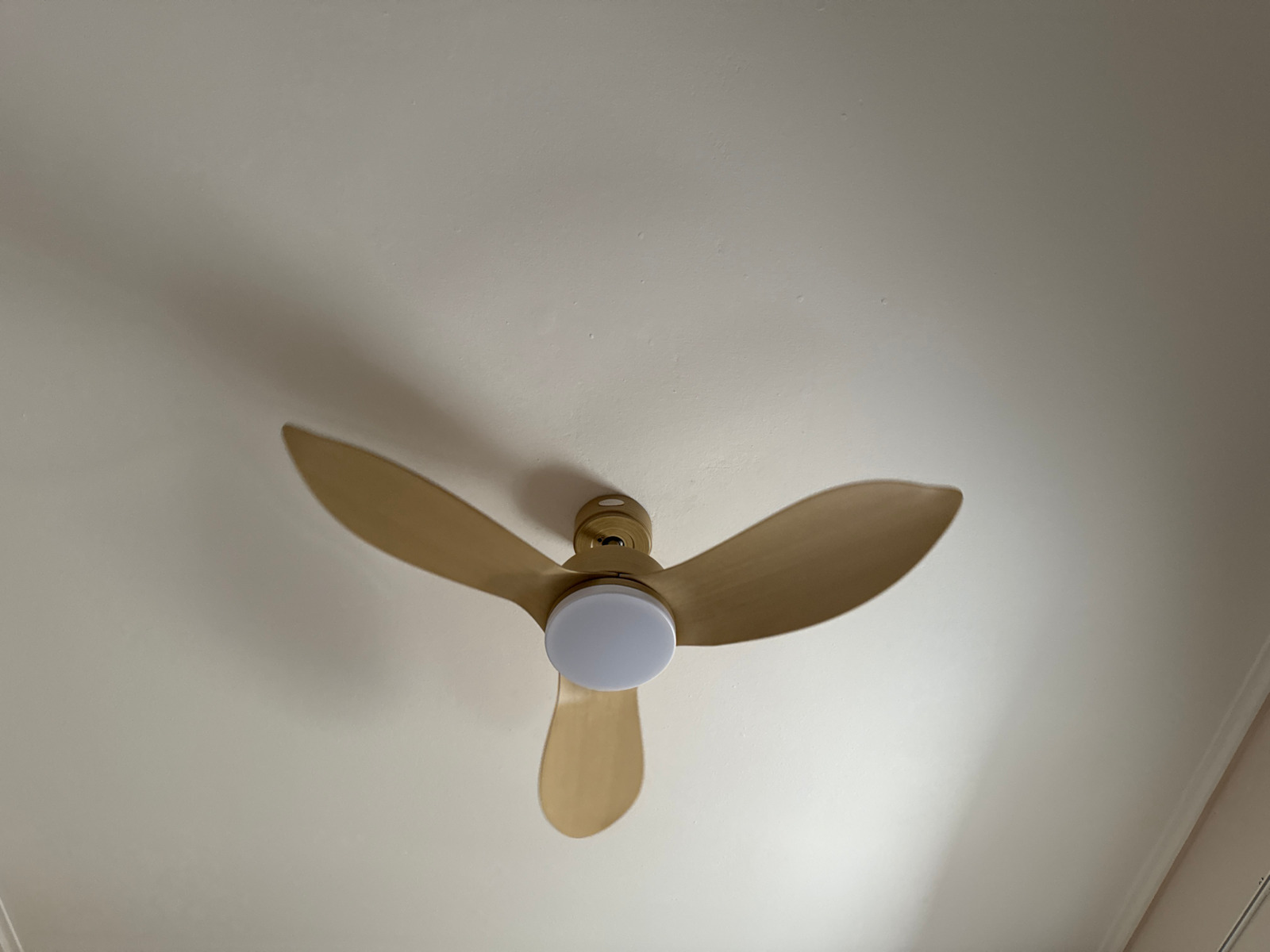 Telemax 46-YJ356 Ceiling Fan 117cm With Oak Light Fixture
