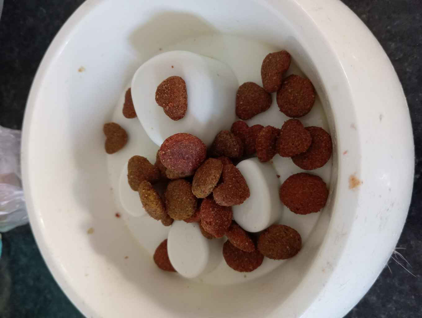 Versele Laga Happy Life Adult 15kg Ξηρά Τροφή για Ενήλικους Σκύλους με Κοτόπουλο