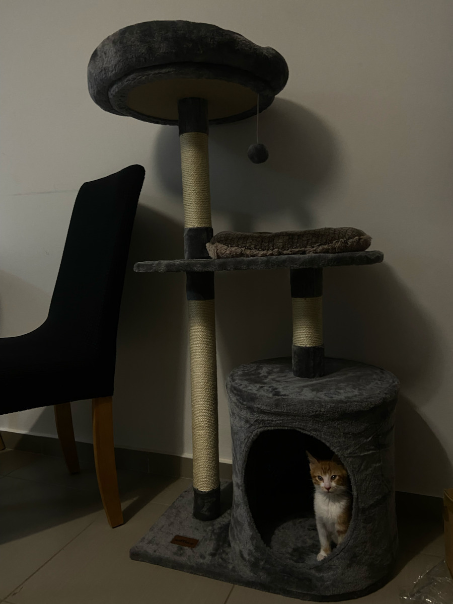 Animal Котешко драскало Дървета за котки Сив Подов 3 нива 60x40x120см.