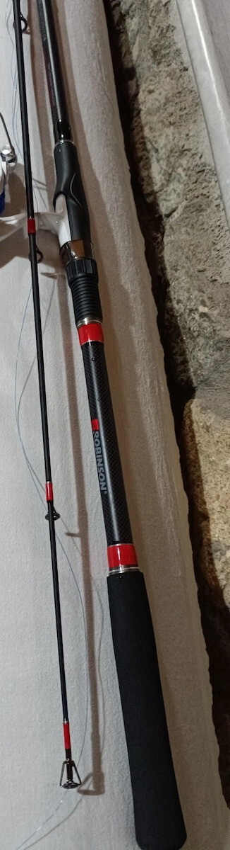 Robinson Carbonic Καλάμι Ψαρέματος για Spinning 2.40m 10-30gr