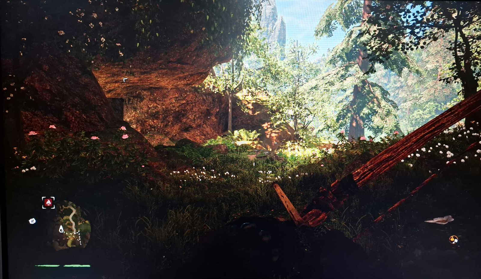 Far Cry Primal PS4 Game