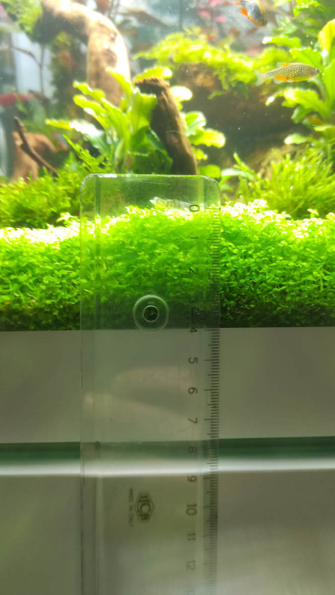 Dennerle Shrimp Soil Aquarium Soils / Substrates 8lt