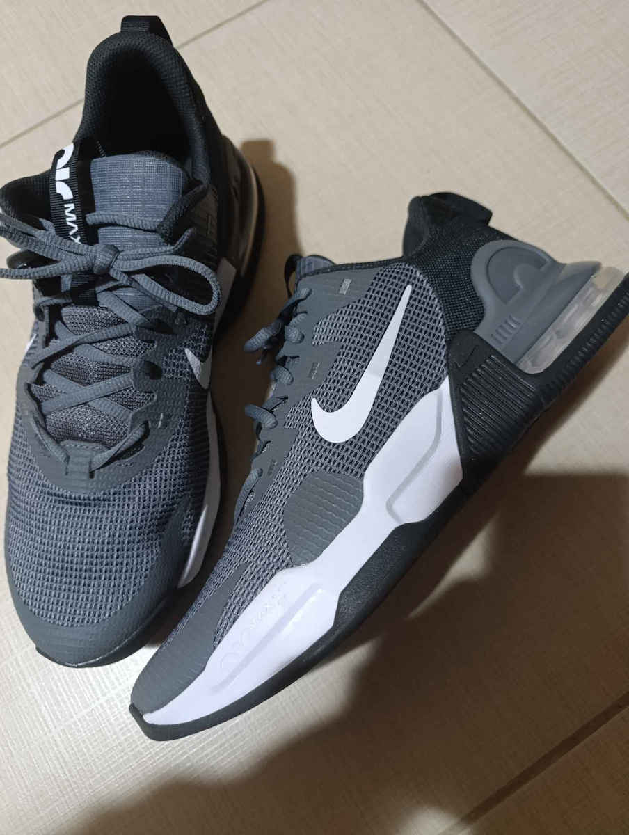 Air Max Alpha Trainer 5 Ανδρικά Αθλητικά Παπούτσια Training Γκρι