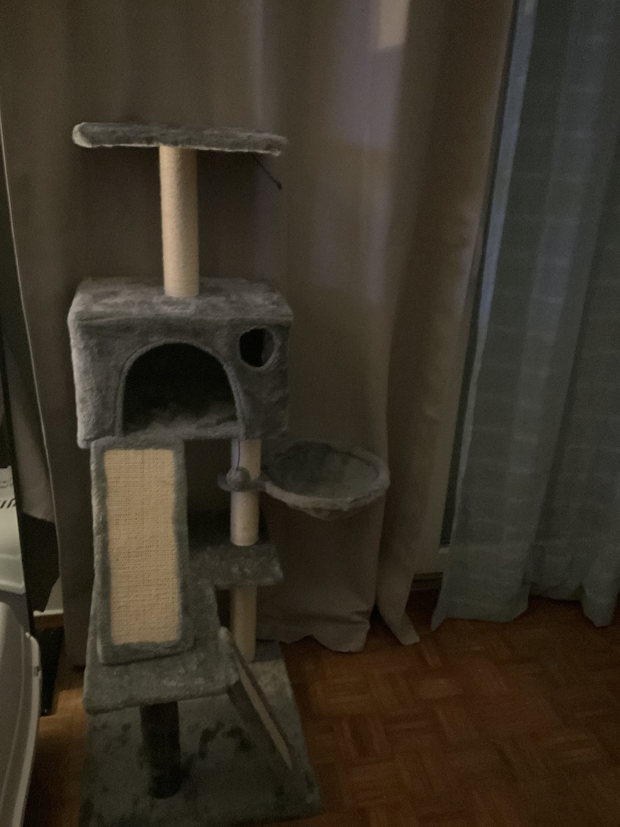 Pawhut Ονυχοδρόμιο Γατόδεντρο Γκρι 60x49x130εκ.
