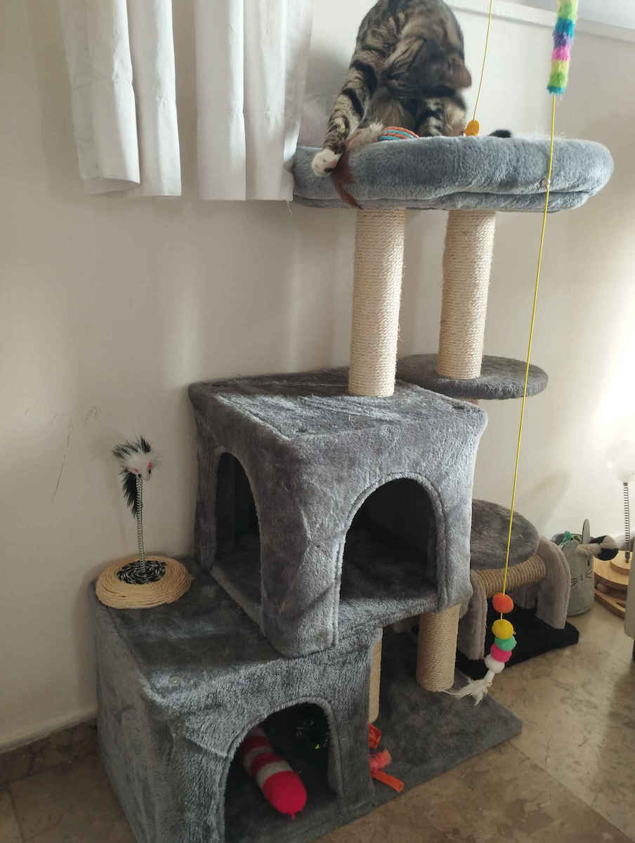 Animal Scratching Post Cat Trees Gray 4 levels 60x30x94cm