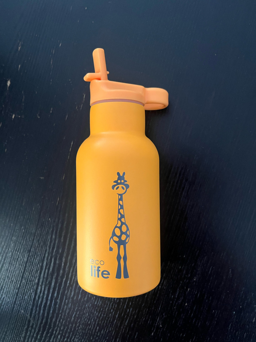 Ecolife Kids Water Bottle Thermos Stainless Steel with Straw Orange 350ml