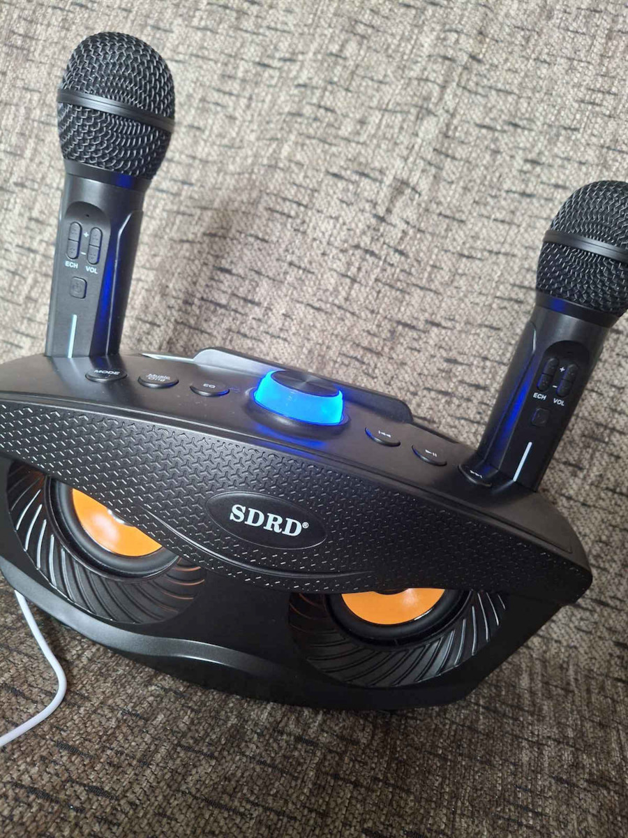 Boxă Karaoke cu Microfoane Wireless și Efecte de Iluminare SD-306 Negru