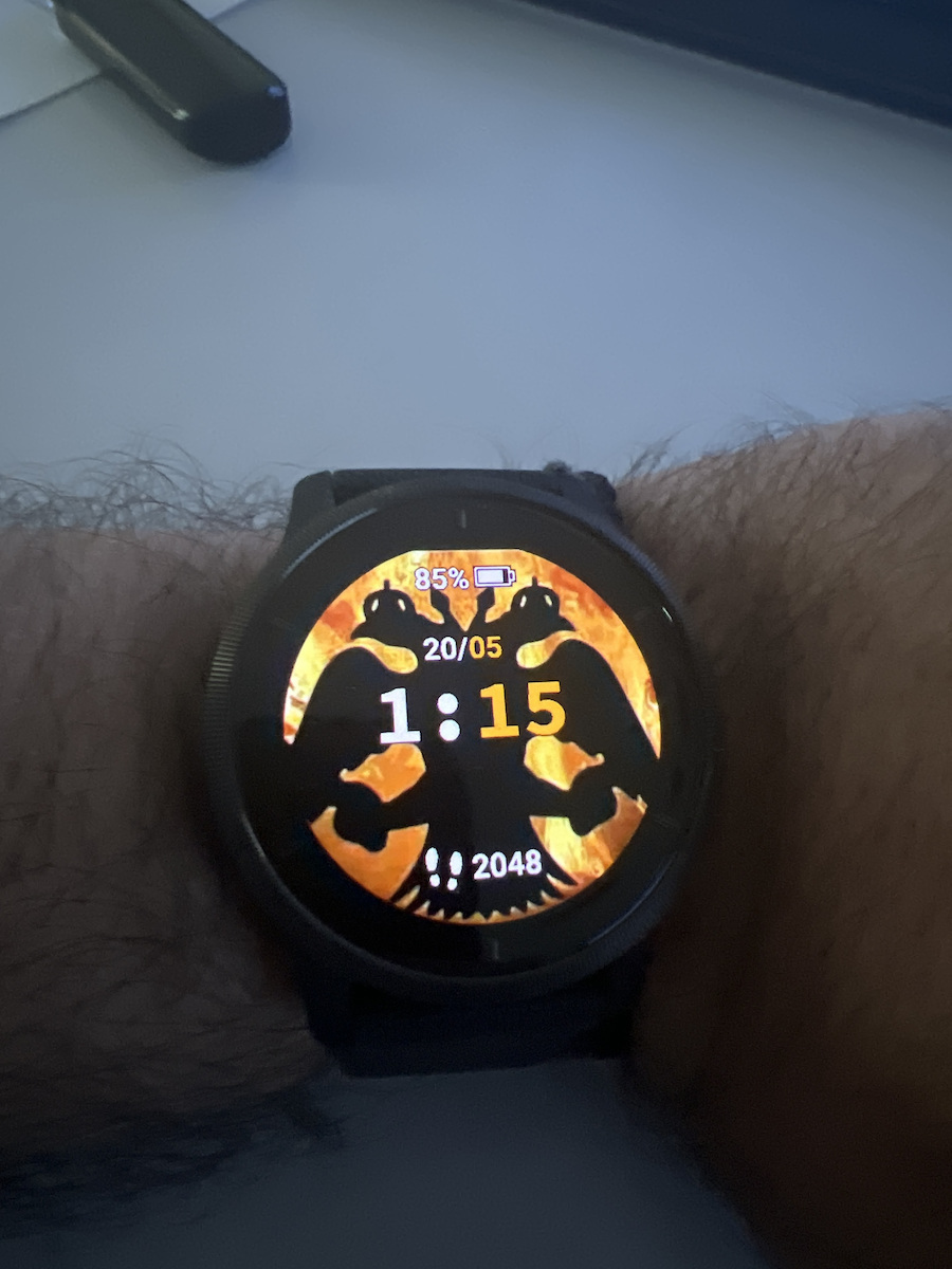 Garmin Venu 2 Oțel inoxidabil 45mm Rezistent la apă Smartwatch (Ardezie / Negru)