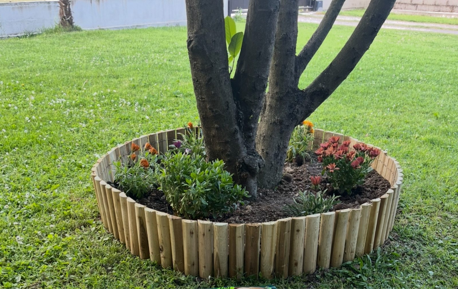Showood Wooden Garden Hedge in Beige Colour 20cm x 1.8m