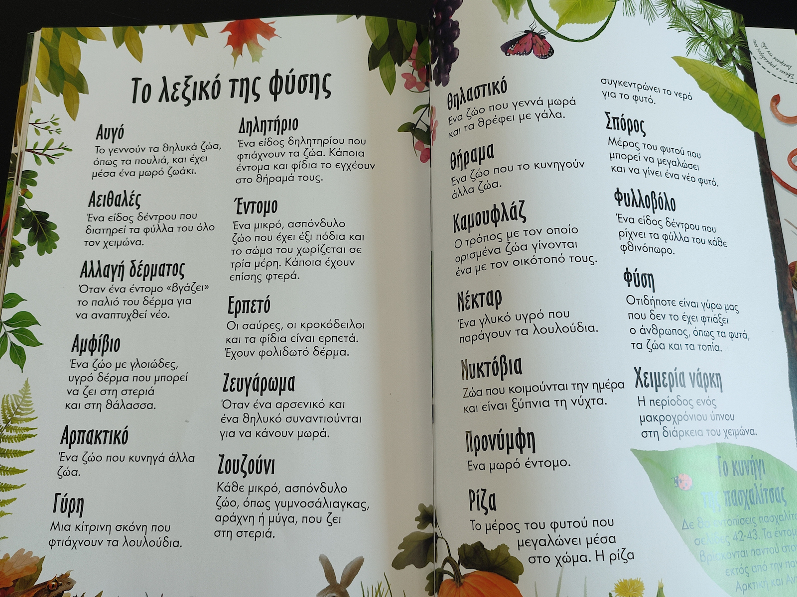 Das große Buch der Natur
