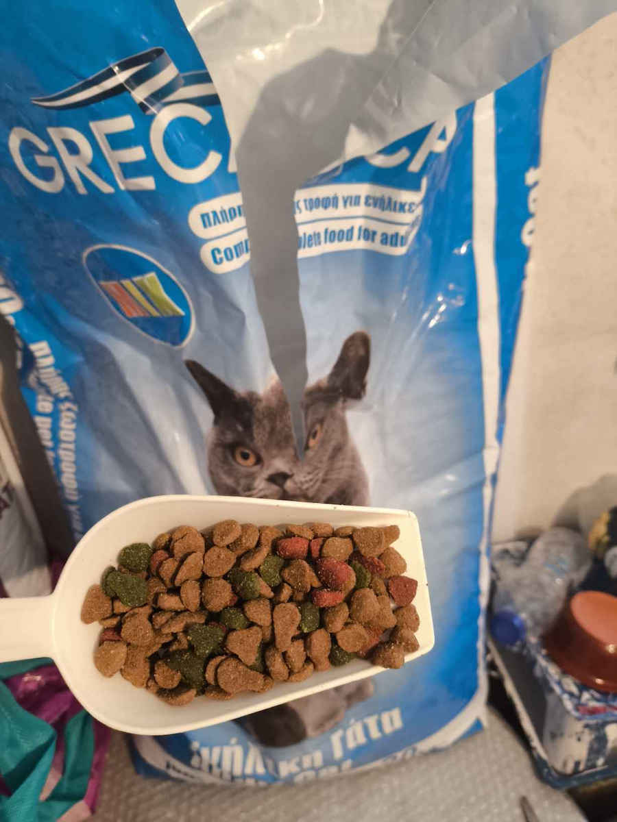 Greca Cat Adult Cat Ξηρά Τροφή για Ενήλικες Γάτες με Κοτόπουλο 20kg