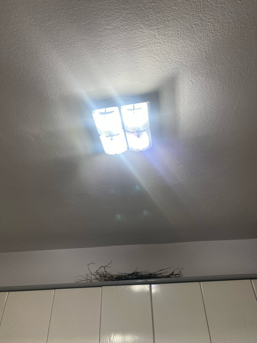 Diolamp Λάμπα LED 11W για Ντουί G9 Ψυχρό Λευκό 950lm