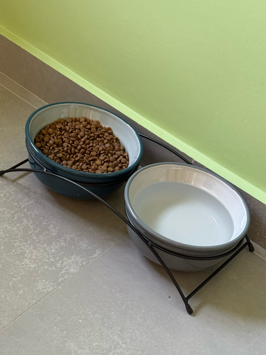 Trixie Eat On Feet Ceramic Bowl Food & Water for Dog & Cat with Base 1.6lt 20cm in Gray Color 2pcs