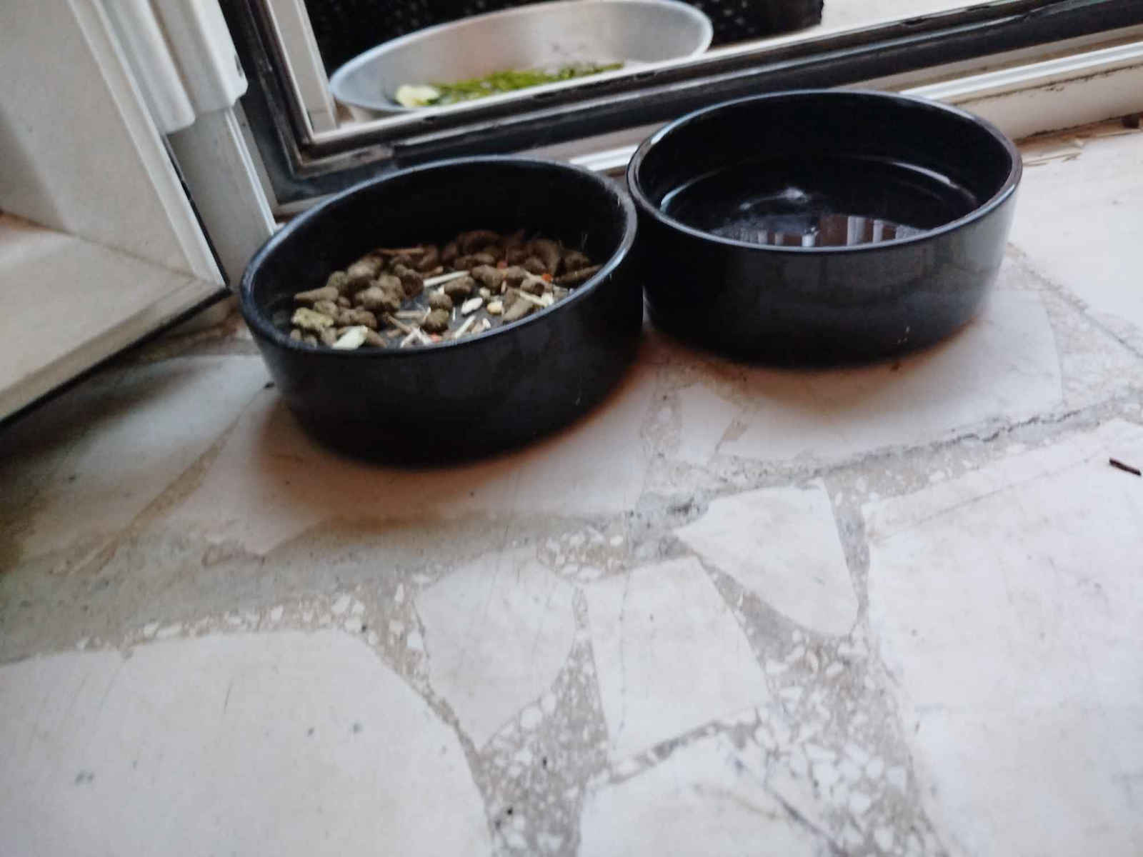 Glee Ceramic Bowl Food & Water for Dog & Cat with Base 400ml in Black Color