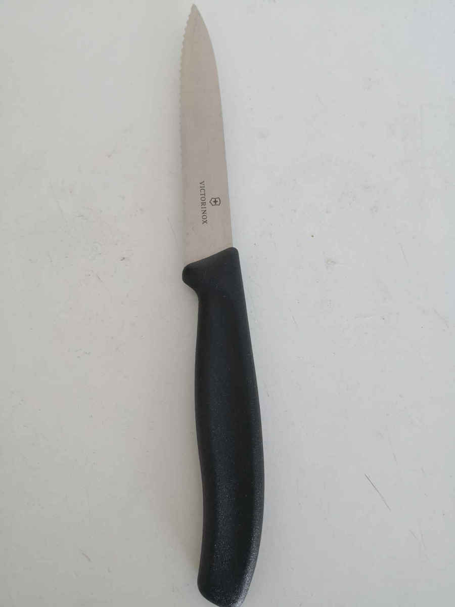 Victorinox Swiss Classic Knife General Use from Stainless Steel 10cm