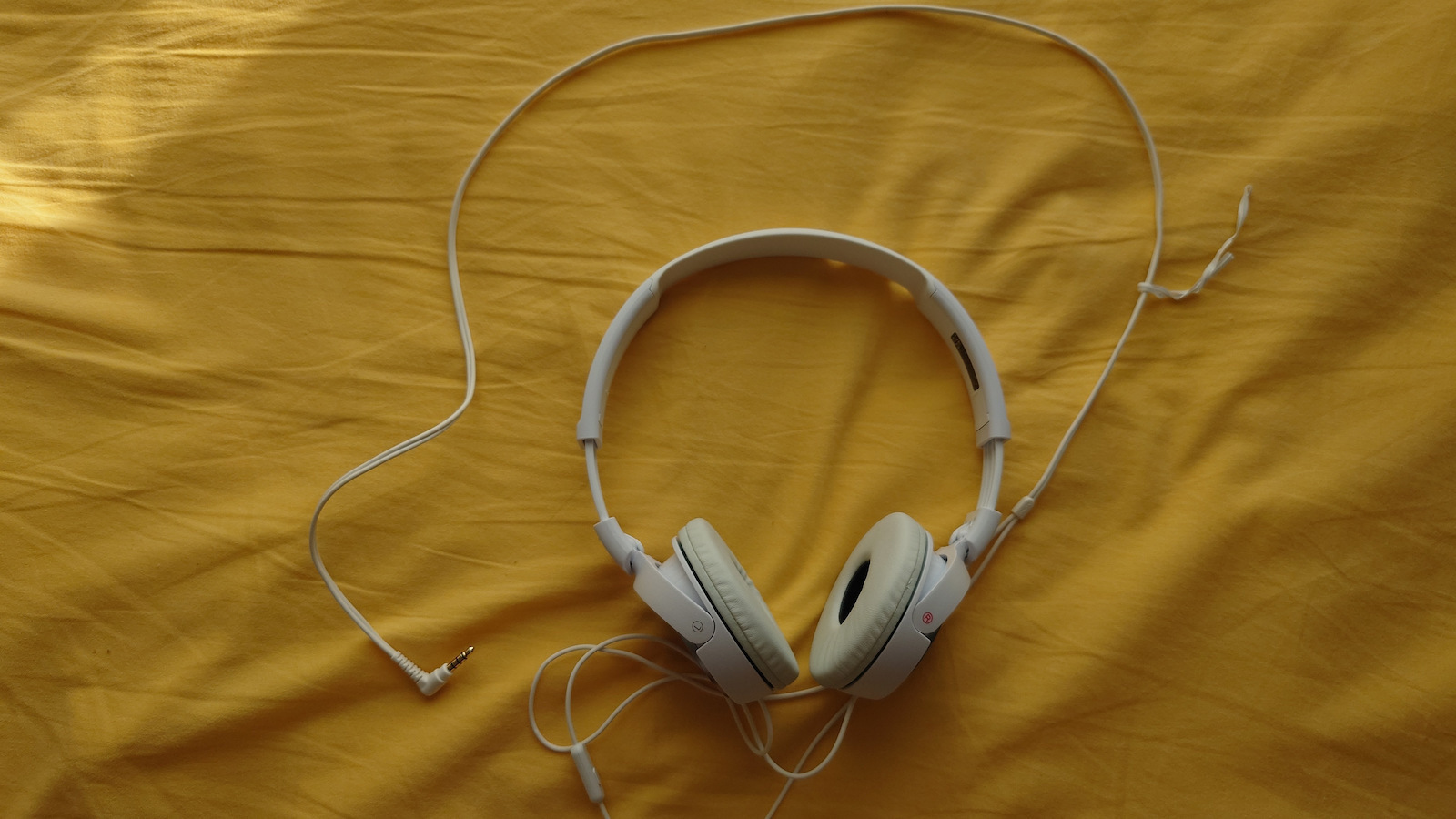 Sony MDR-ZX310AP Kabelgebunden Am Ohr Kopfhörer Blau