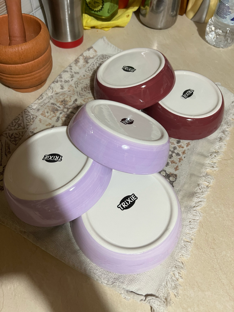Trixie Ceramic Fishbone Керамика Плоча Храна & Вода за Куче & Котка 200мл в Червен Цвят