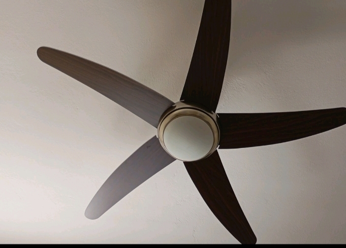 Gruppe R52001-XY-1L Deckenventilator 132cm mit Licht und Fernbedienung  Wenge/Silver | Skroutz Germany