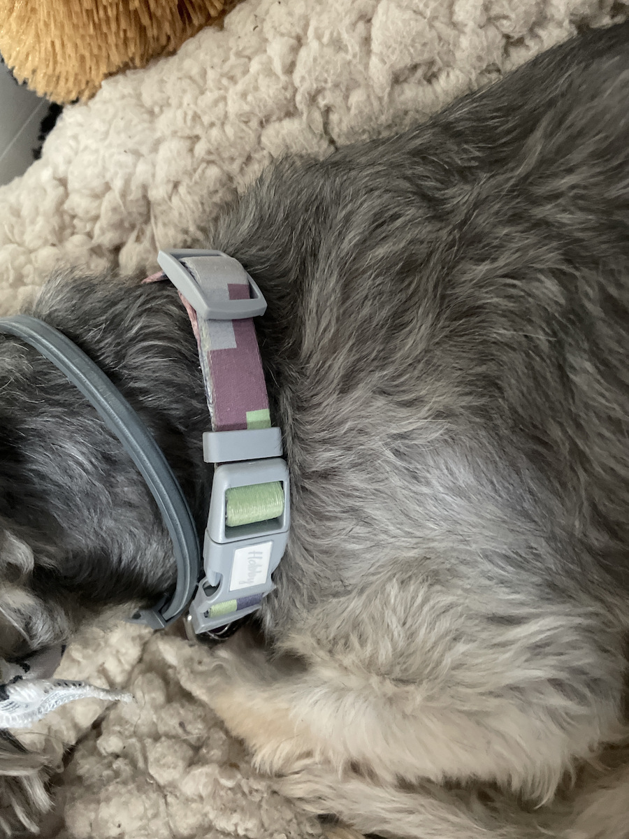 Habby Collar Hundehalsband Mittel 1.5mm