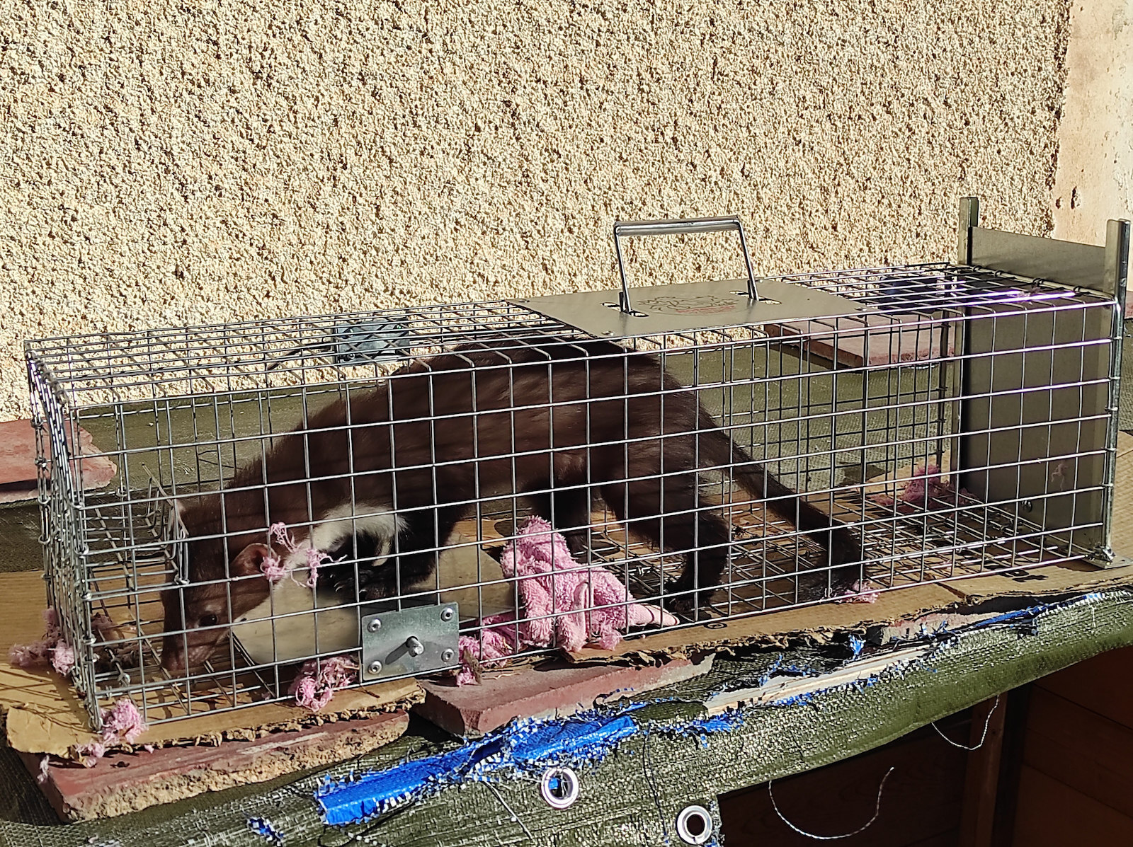 Κλουβί από Μέταλλο 70x20x20cm TRAP-03M