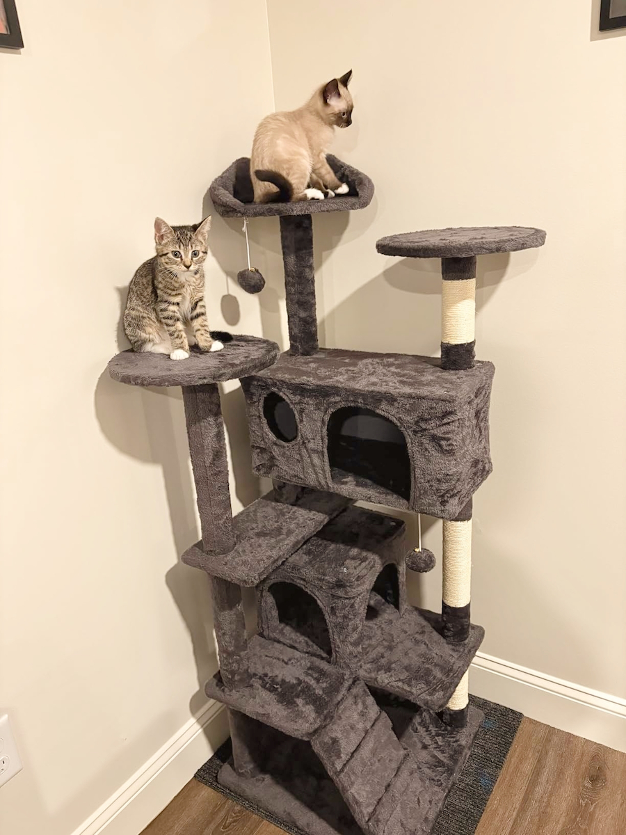 Wallex Scratching Post Cat Trees Gray Wall Mounted / Floor 7 levels 50x50x137cm