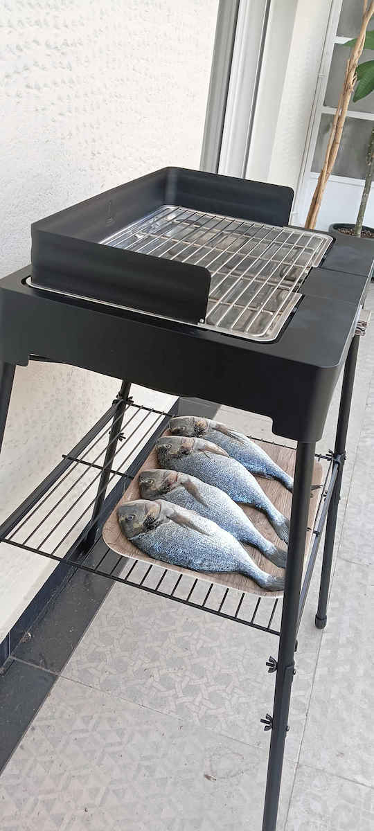 Severin With Legs Electric Grill Grill 2200W with Adjustable Thermostat 44.5cmx26cmcm