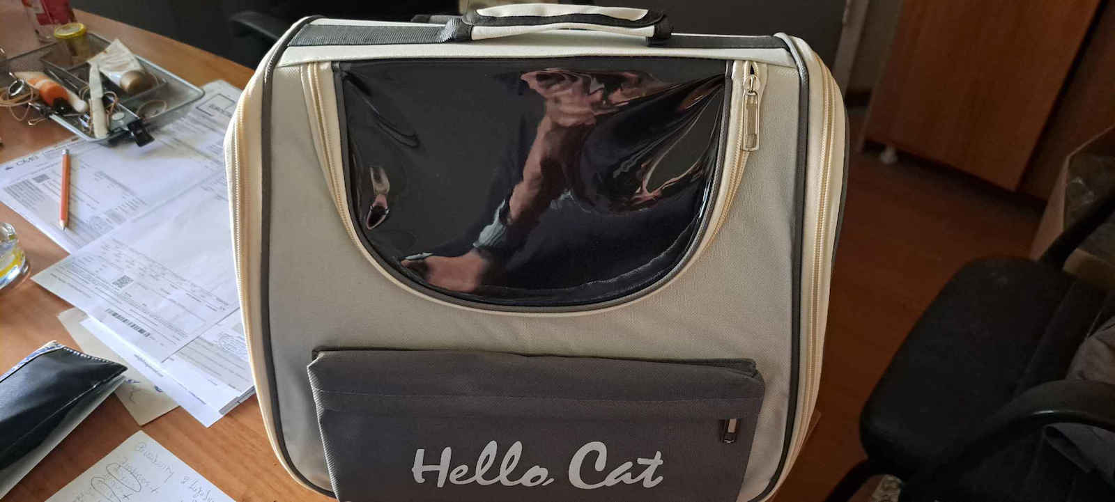 Cat Carrier Bag 37cm Purple 550946