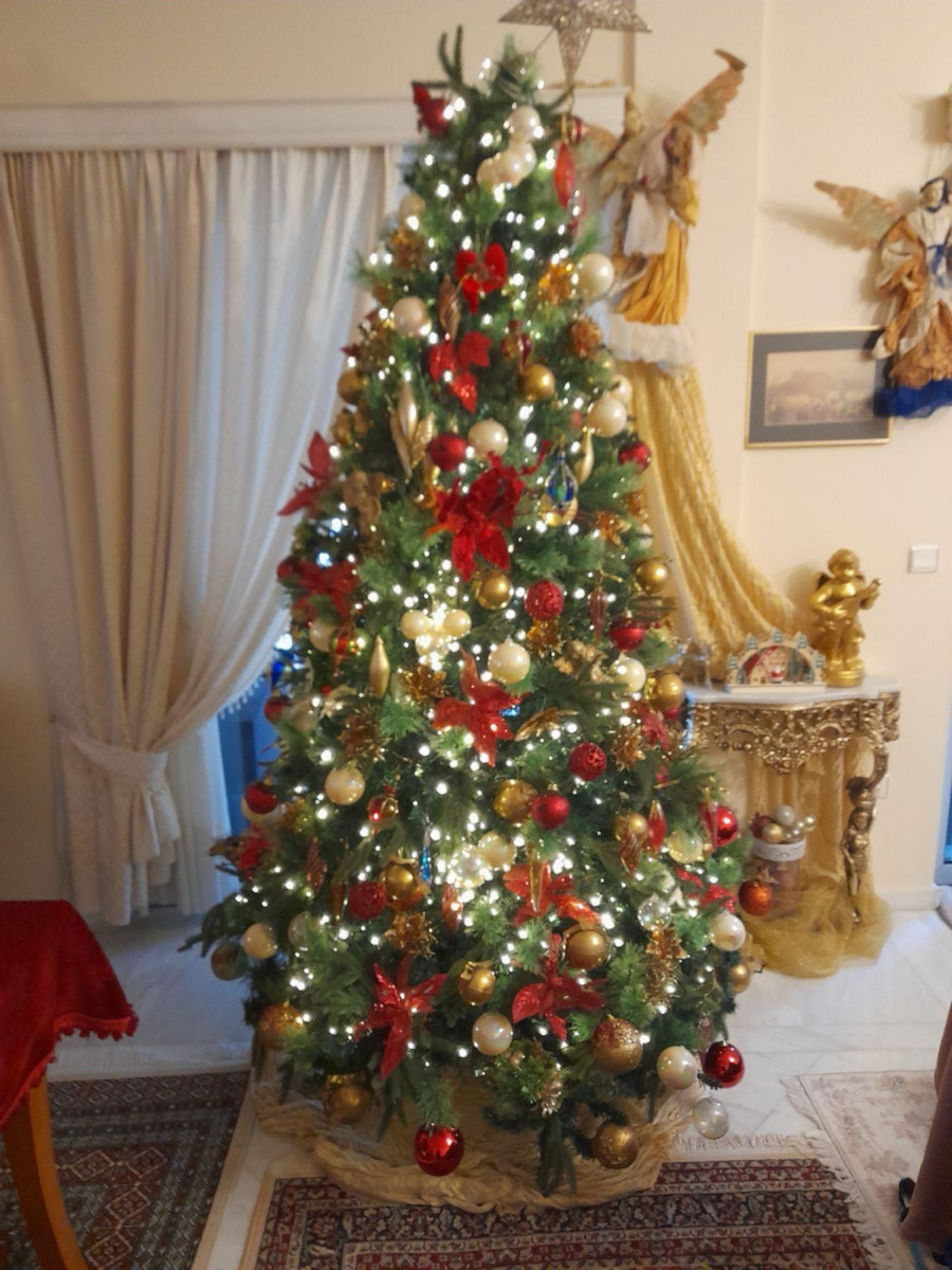 Christmas Tree Mixed Carolina 210cm with 1336 Branches