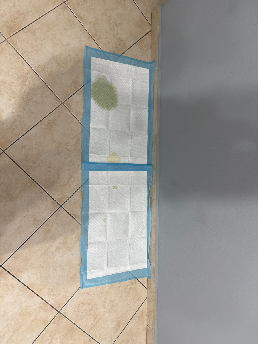 Purlov Dog Floor Diapers 60x60cm - 60cm 100pcs
