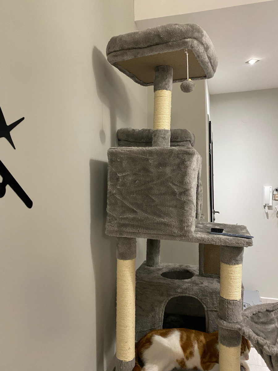 Feandrea Scratching Post Cat Trees Gray 5 levels 55x45x143cm