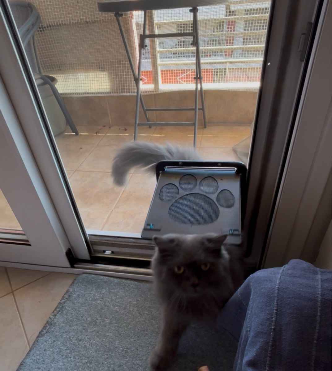 Door Dog & Cat made of Plastic in Gray Color