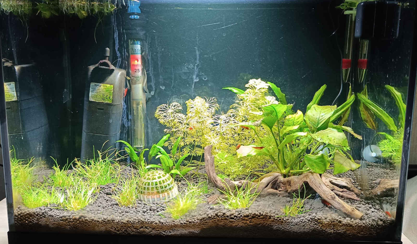 Croci Filpo Internal Filter for Aquariums up to 60lt with Performance 300lt/h