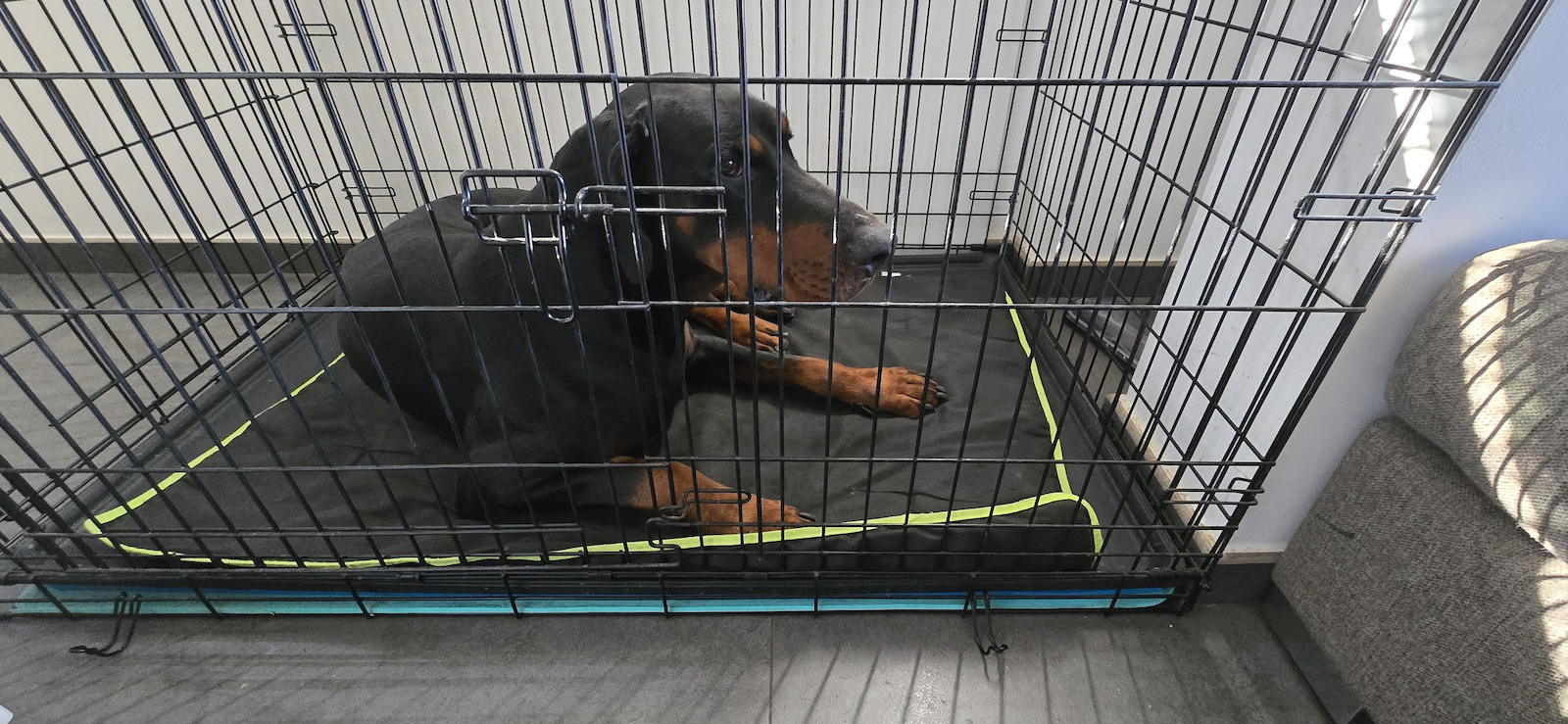 Ferplast Jolly Kopfkissen für Hunde Rechteck Schwarz 110x80cm.
