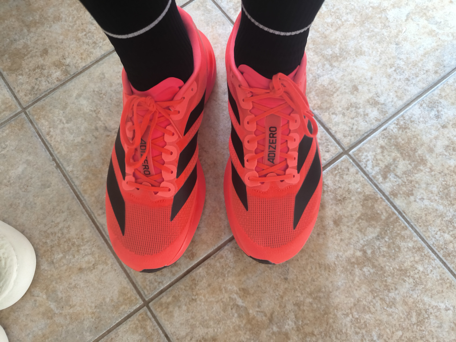 Adizero EVO SL Sport Shoes Running White