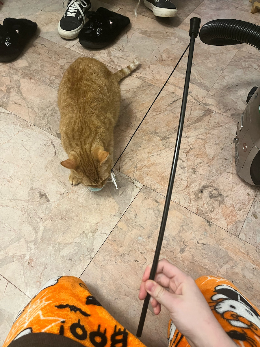 Trixie Playing Rod Παιχνίδι Γάτας Ραβδί Ραβδί με Ψάρι 42εκ.