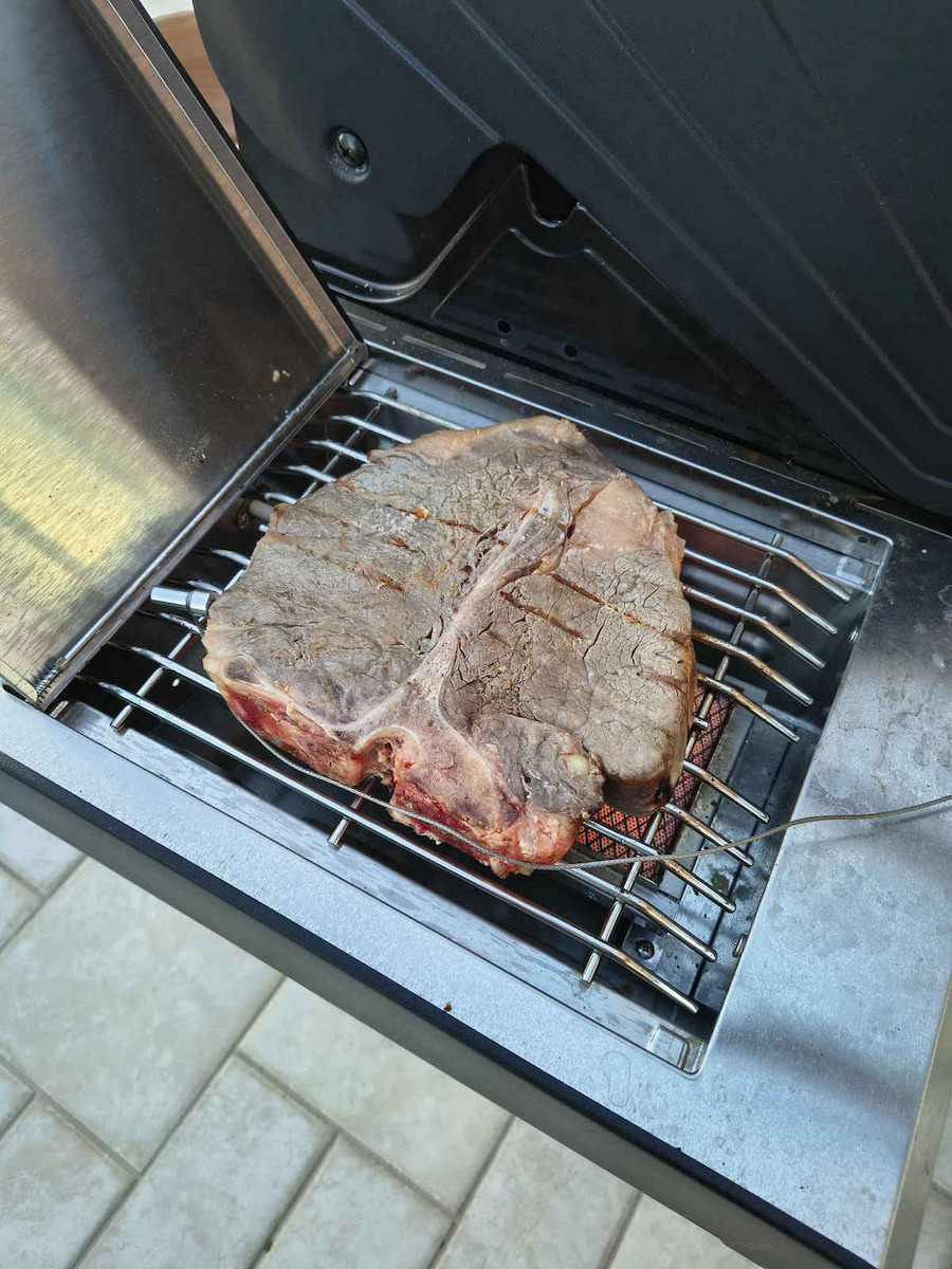 Thermogatz At02 Wireless Electronical BBQ Thermometer with Probe and Bluetooth