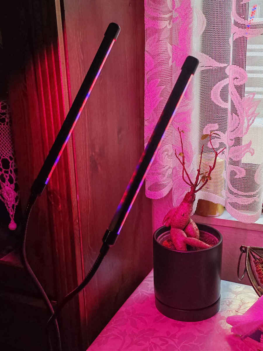 Gardlov Επιτραπέζιο Grow Light με 40 LED και Ισχύ 9W Μ68xΒ12xΥ7εκ.