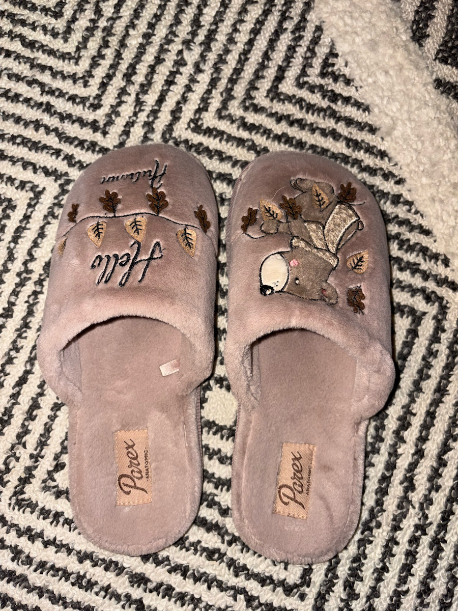 Women's Slippers with Animals Brown